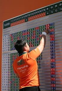 开云体育中国-世界青少年搏击锦标赛中国群英尽展风采，青少年搏击公开赛